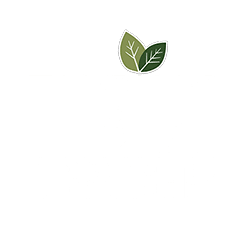 Thrive Dispensary